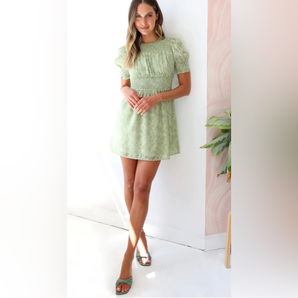 Adelyn Rae Jules Smocked Burnout Chiffon Minidress in Green Size S